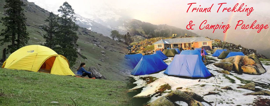 triund trekking & camping